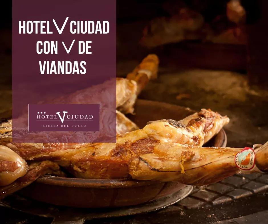 Hotel V.Ciudad Aranda de Duero Exterior foto